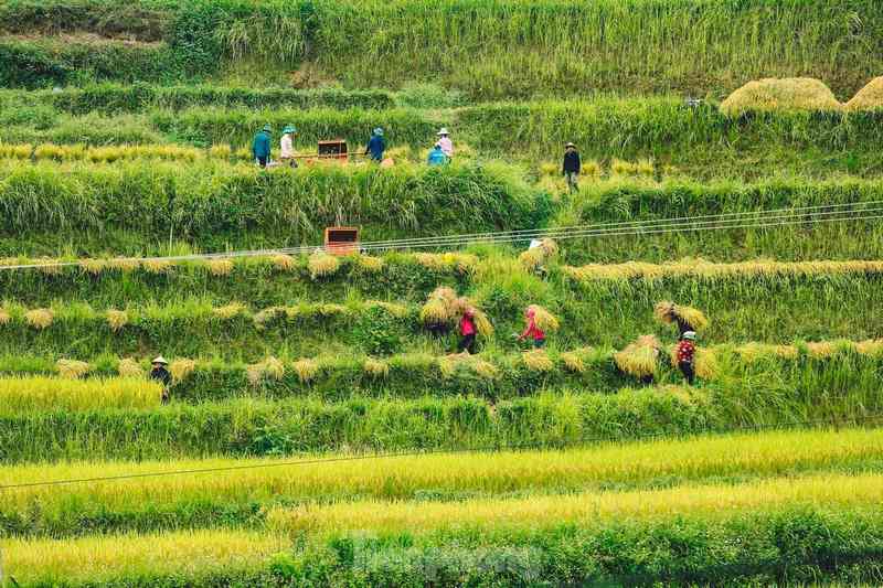 Dân địa phương thân thiện, mến khách, sẽ khiến chuyến đi của bạn thêm phần ấm áp và dễ chịu.