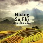 Ruộng bậc thang Hoàng Su Phì là biểu tượng du lịch nổi bật của Hà Giang.